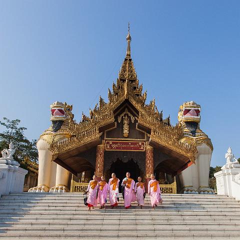 002 Yangon, Shwedagon Pagode.jpg